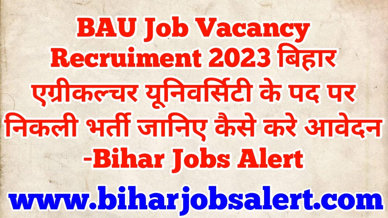 BAU Job Vacancy Recruiment 2023